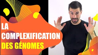 COURS DE TERMINALE SPÉCIALITÉ SVT  CHAP3 LA COMPLEXIFICATION DES GÉNOMES Bio Logique [upl. by Phylis443]