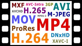 Explaining Digital Video Formats Codecs amp Containers [upl. by Luciana]