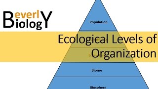 Ecological Levels of Organization [upl. by Giavani]