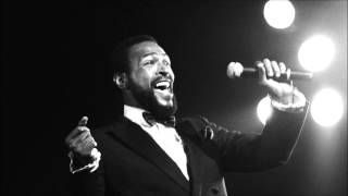 Marvin gaye  I want you remix [upl. by Aiet773]