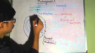 Site directed mutagenesis [upl. by Lrad]