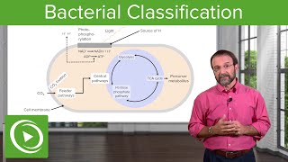 Bacterial Classification Heterotrophs Chemoautotrophs amp Photoautotrophs – Microbiology  Lecturio [upl. by Pettifer]