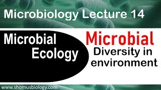 Microbial ecology and diversity  Microbiology lecture 14 [upl. by Winslow]