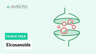 Eicosanoids Formation Function and Subclasses [upl. by Terrijo939]