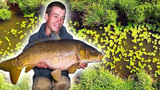 Carp Fishing on the River  an EPIC start to our fishing season [upl. by Acim]