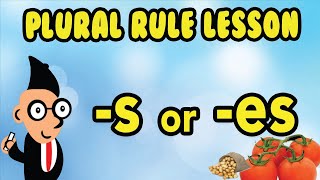 Spelling Rules Plurals From Words That End in o [upl. by Weldon128]