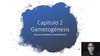 CAPITULO 2 GAMETOGÈNESIS celulas germinales primordiales [upl. by Emyle]