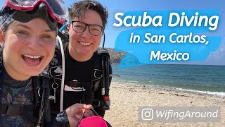 Scuba Diving in San Carlos Sonora Mexico  Delicious Food and Beautiful Sunsets  Sea of Cortez [upl. by Bogusz]