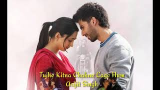 Tujhe Kitna Chahne Lage Hum Lyrics With English Translation – Kabir Singh [upl. by Isoj]