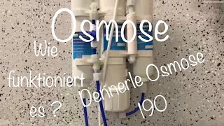 Osmose Anlage  Wie funktioniert sie  Einsteigertipps 10 [upl. by Avenej96]