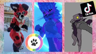 Furry TikToks Compilation 1 [upl. by Assirok]