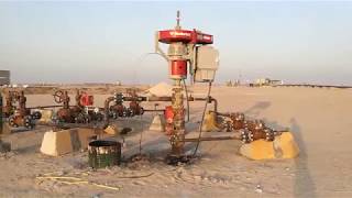 PCP pump Wellhead [upl. by Emsmus]