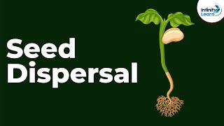 Seed Dispersal  Reproduction in Plants  Dont Memorise [upl. by Sonia345]