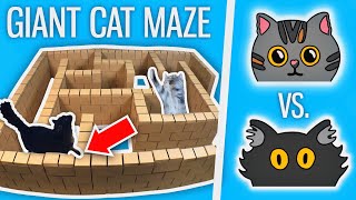 Ralph Vs Bella  GIANT Cat Maze [upl. by Bink909]