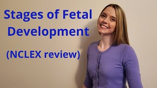 THE STAGES OF FETAL DEVELOPMENT  NCLEX REVIEW [upl. by Kirsten]