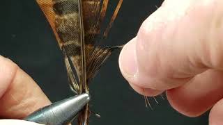 Tips 12  Knotted Hopper Legs [upl. by Evelina782]