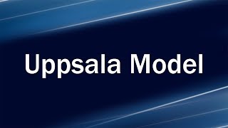 Uppsala Model In Internationalizing [upl. by Ahseryt]