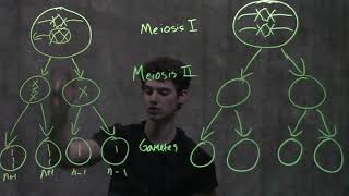 Genetics Nondisjunction amp Meiosis [upl. by Etem]