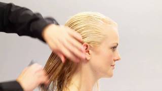 Aveda HowTo  Everyday Body amp Increased Volume for Fine Hair [upl. by Bullock]