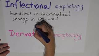 Episode 6  Morphology  Inflectional vs derivational [upl. by Assillem]