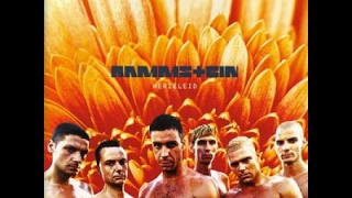 Rammstein  Herzeleid 1995 8bit full album [upl. by Eelorac]