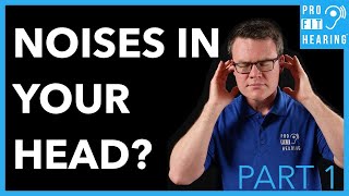 What Causes Noises in Your Head  What is Tinnitus Part 1 [upl. by Nitsreik]