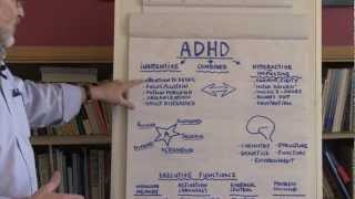 What Is ADHD [upl. by Wiles]