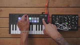 Arpeggiator  Launchkey Mini  Novation [upl. by Wershba]