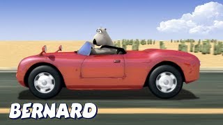 Bernard Bear  Nice Car AND MORE  Cartoons for Children [upl. by Ael]