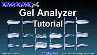 Gel Analyzer Tutorial [upl. by Anilos179]