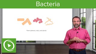 Bacteria Structure amp Types – Microbiology  Lecturio [upl. by Nawram]