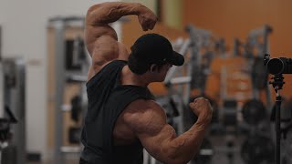 IFBB Pro Arm Workout [upl. by Jehoash]