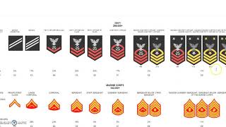 US Military Insignia of Rank [upl. by Biebel]