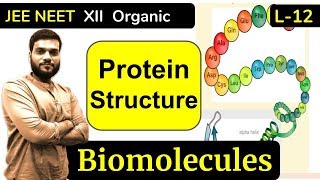 L12 Proteins Structures  Biomolecules  JEE NEET  By Arvind Arora [upl. by Nesline]