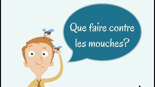 Comment se débarrasser des mouches dans la maison [upl. by Eneleahcim]