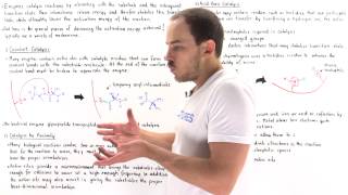 Mechanisms of Enzyme Catalysis [upl. by Auqkinahs]