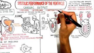 CARDIAC MUSCLE MECHANICSPRELOAD USMLE Step 1 [upl. by Hermann793]