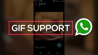 How to Enable GIF support on WhatsApp 😎 [upl. by Ahsiki]