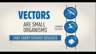 WHO Vector borne disease animation WHD2014 [upl. by Bergess]