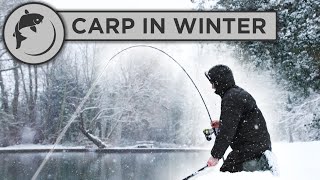 CATCH MORE CARP in WINTER with these 5 tips [upl. by Eciened]