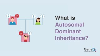 Inherited Genetic Disorders  Genetics  Biology  FuseSchool [upl. by Leavelle]