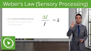 Weber´s Law Sensory Processing Proportion amp Examples – Sensing the Environment  Lecturio [upl. by Maggio]