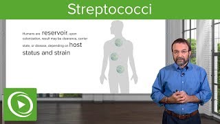 Streptococci – Microbiology  Lecturio [upl. by Bravin]