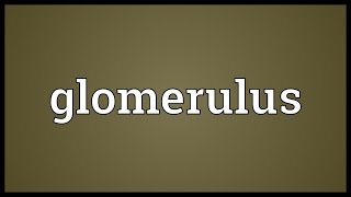 Glomerulus Meaning [upl. by Ardnaet]