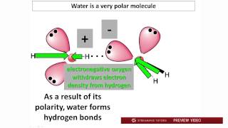 Biochemistry Water PH and Buffers Part 1 tutorial [upl. by Rockwood]