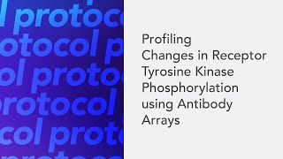 Profiling Changes in Receptor Tyrosine Kinase Phosphorylation using Antibody Arrays [upl. by Janifer]