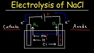 Electrolysis of Sodium Chloride  Electrochemistry [upl. by Kano]