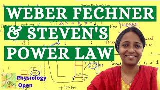 Weber Fechner law and Steven Power law  Sensory physiology lectures  CNS physiology mbbs 1st year [upl. by Iramohs]