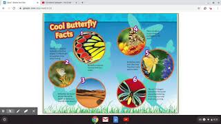 Caterpillar to Butterfly Nat Geo Kids [upl. by Starling767]