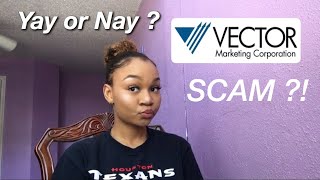 VECTOR MARKETING  CUTCO A SCAM [upl. by Kaehpos]